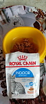 Royal Canin Indoor Sterilized Корм консервированный для взрослых кошек, постоянно живущих в помещении, соус, 85г - фото